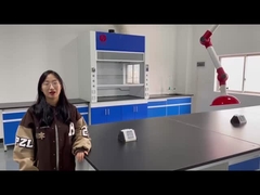 Laboratoire de vapeur Hood For Factory, d'hôpital et d'école de qualité de la Chine