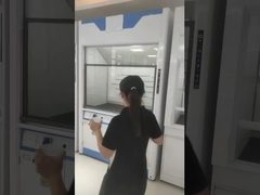 Pleins pp émettent de la vapeur le capot, placards de vapeur de laboratoire de fenêtre de PVC ajustent la vitesse d'air