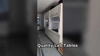 lab fume hood manufaturers,laboratory fume cupboard manufacturers