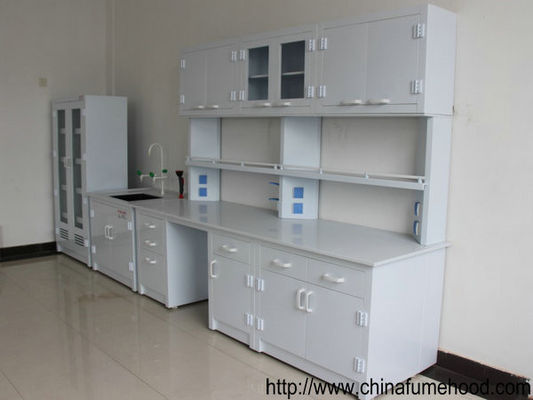Bon prix Établi de laboratoire avec le Cabinet de mur pour l'équipement de laboratoire d'usine en ligne