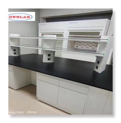 Bon prix Meubles de laboratoire de chimie en acier avec une capacité d'installation rapide Matériau durable en ligne