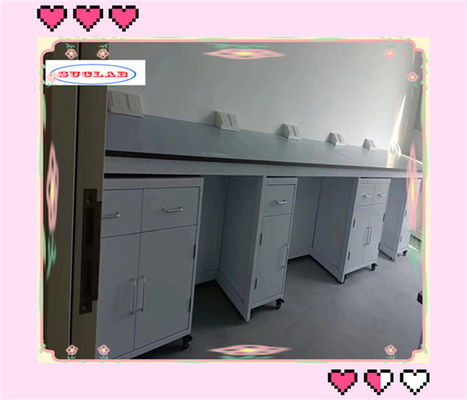 Bon prix Bancs de laboratoire de chimie fonctionnels Bancs de laboratoire avec armoire en acier inoxydable et plafond en résine phénolique/époxy en ligne