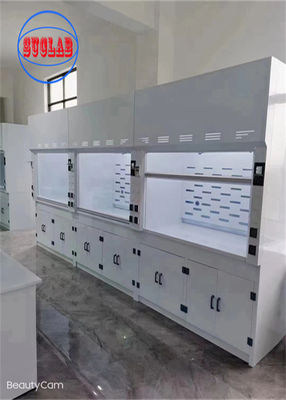 Bon prix 220V Chemical Fume Hood Lab Acide Fume Hood Mur monté avec une structure horizontale en ligne