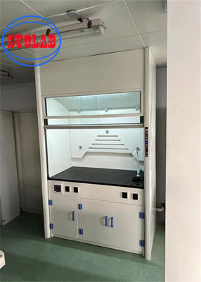 Bon prix Vitesse de l'air 0,5-0,8 m/s Rinceau à gaz Armoire à fumée de recirculation pour expériences de laboratoire en ligne