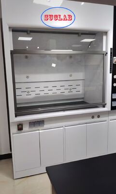 Bon prix Custom Laboratory Fume Hood Manufacturers With Strong Powerful Ventilation System Ideal for Laboratory Chemical Fume Extraction en ligne